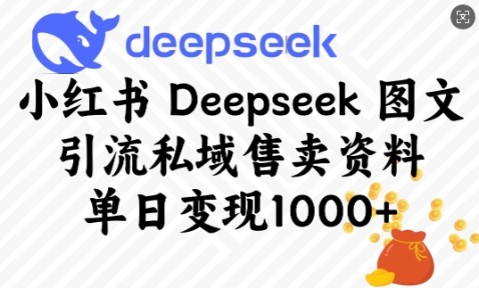 【16723】小红书Deepseek图文引流私域售卖资料，单日变现多张