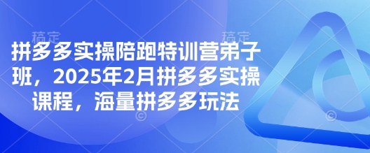 【16859】泓一老师拼多多实操陪跑特训营弟子班，2025年2月拼多多实操课程，海量拼多多玩法