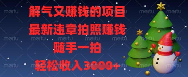 【17199】解气又挣钱的项目，最新违章拍照挣钱，随手一拍，轻松收入数张【揭秘】