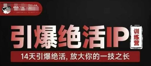 【17395】坤龙老师引爆绝活IP训练营，14天引爆绝活，放大你的一技之长