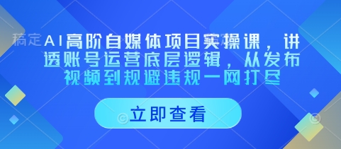 【17412】AI高阶自媒体项目实操课，讲透账号运营底层逻辑，从发布视频到规避违规一网打尽