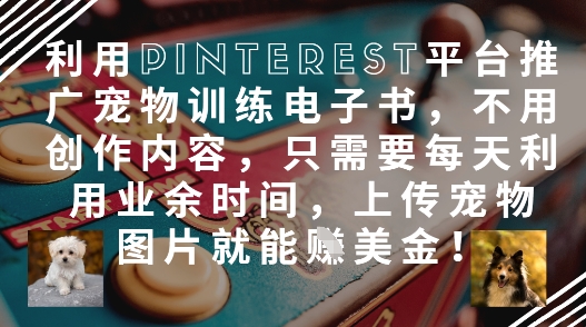 【17648】利用Pinterest平台推广宠物训练电子书，不用创作内容，只需要每天利用业余时间，上传宠物图片就能挣美金!