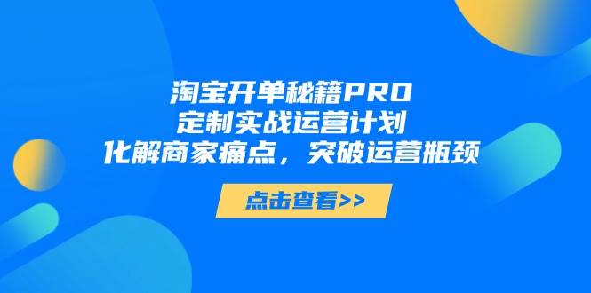【17705】淘宝开单秘籍PRO，定制实战运营计划，化解商家痛点，突破运营瓶颈