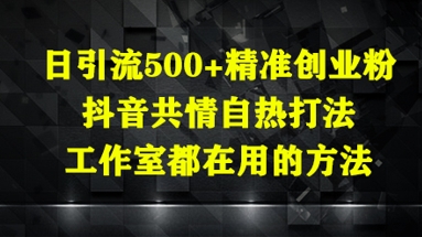 【17708】日引流500+精准创业粉，抖音共情自热打法，工作室都在用的方法