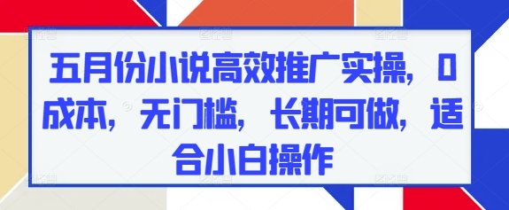 【17735】五月份小说高效推广实操，0成本，无门槛，长期可做，适合小白操作