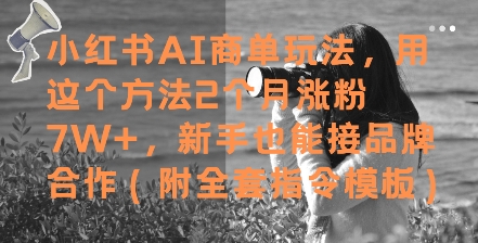 【18037】小红书AI商单玩法，用这个方法2个月涨粉7W+，新手也能接品牌合作(附全套指令模板)