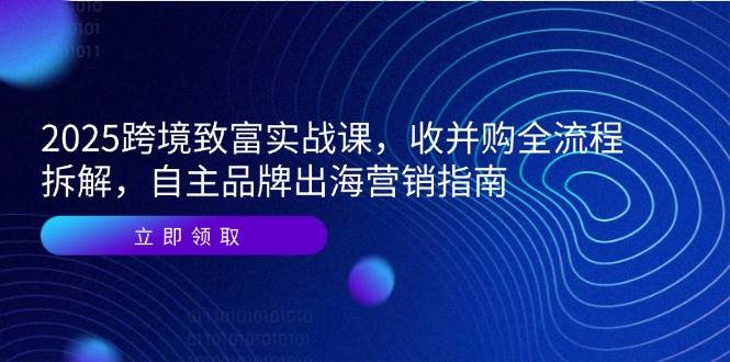 【18220】2025跨境致富实战课，收并购全流程拆解，自主品牌出海营销指南