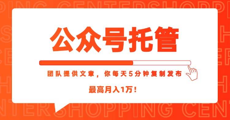 【18347】【公众号托管 】我提供文章，你每天５分钟复制发布，最高月入1W