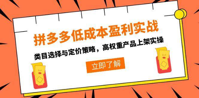 【18392】大海拼多多低成本盈利实战，类目选择与定价策略，高权重产品上架实操