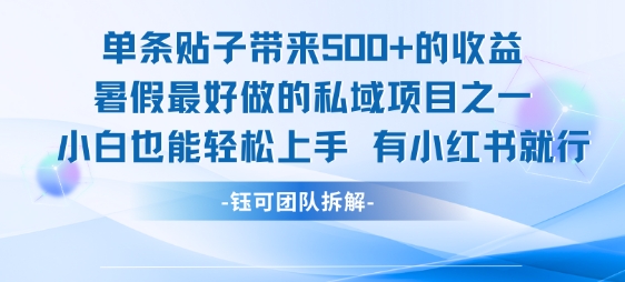 【18715】单条贴子带来5张的收益，暑假最好做的私域项目之一，小白也能轻松上手，有小红书就行