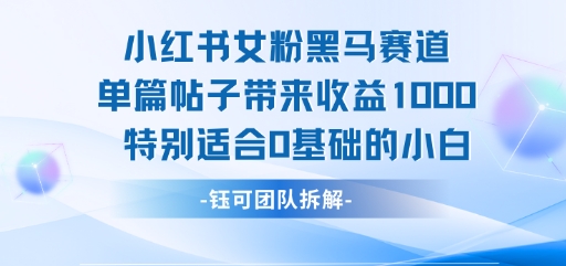 【18883】小红书女粉黑马赛道单篇帖子带来收益1k+，特别适合0基础的小白