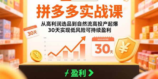 【19051】久号老师拼多多实战课：从高利润选品到自然流高投产起爆 30天实现低风险可持续盈利
