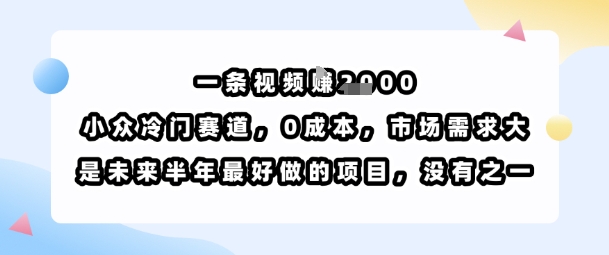 【19302】一条视频挣1k，小众冷门赛道，0成本，市场需求大，是未来半年最好做的项目，没有之一