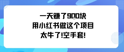 【19872】一天挣了9张用小红书做这个项目太牛了，空手套
