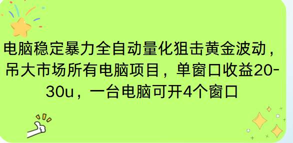 【20630】电脑EA策略挂机项目单窗口收益20-30u，单电脑可挂5-10个窗口收益稳健4位数