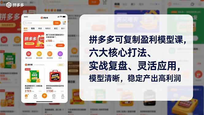 【20961】大炮拼多多可复制盈利模型课，六大核心打法、实战复盘、灵活应用，模型清晰，稳定产出高利润